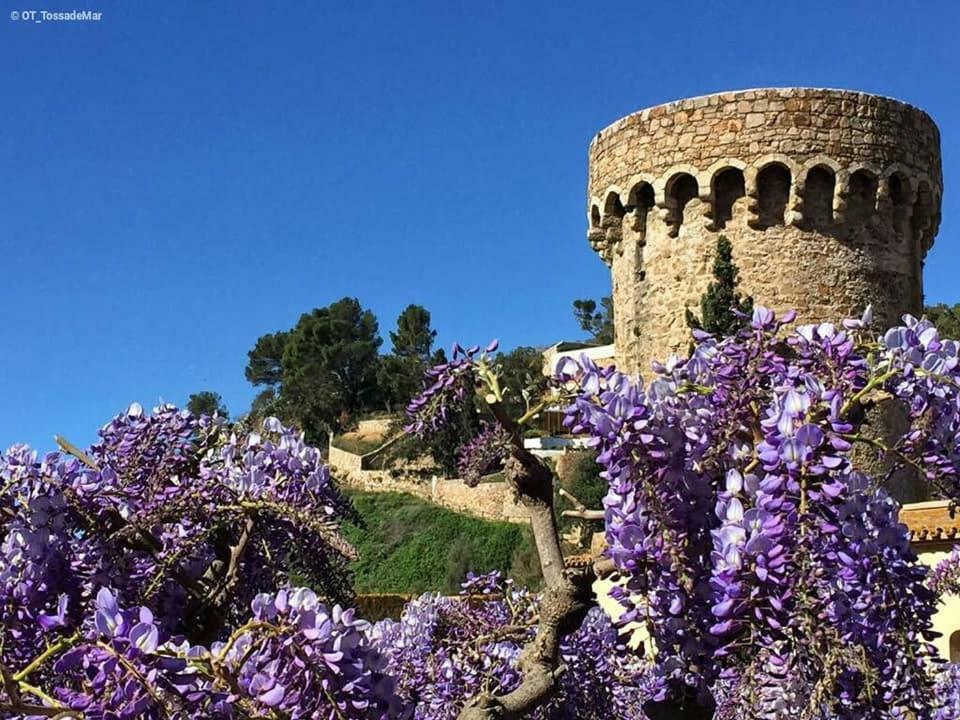 Tossa Blue Lägenhet Tossa de Mar Exteriör bild